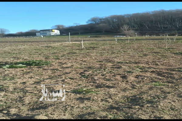 فروش زمین نزدیک بافت و جنگل کلیجان رستاق روستای آبکسر-1
