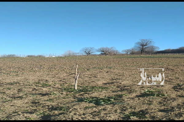 فروش زمین نزدیک بافت و جنگل کلیجان رستاق روستای آبکسر-3