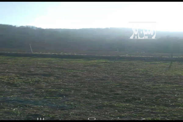 فروش زمین نزدیک بافت و جنگل کلیجان رستاق روستای آبکسر-4