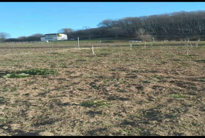 فروش زمین نزدیک بافت و جنگل کلیجان رستاق روستای آبکسر