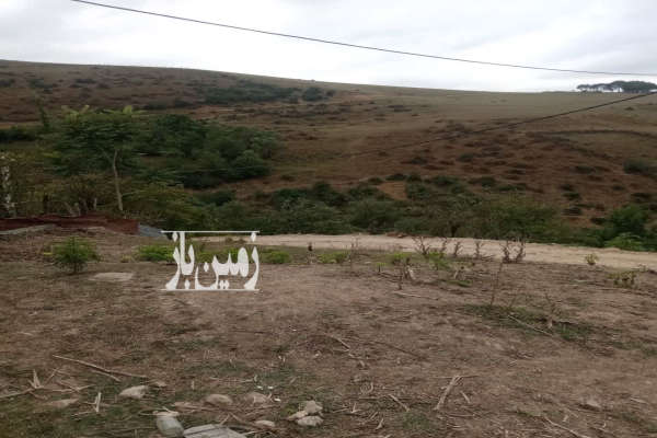 زمین ۱۵۰ متر در روستای سنگده دادوکلاه-4