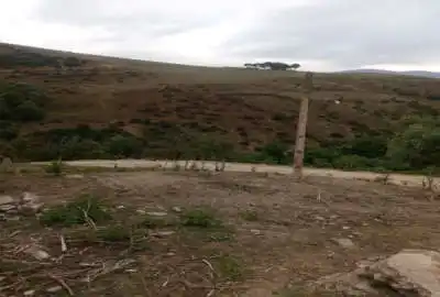 زمین ۱۵۰ متر در روستای سنگده دادوکلاه