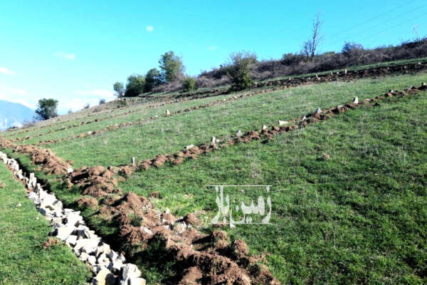 زمین ۳۱۰ متری در مرزن آباد روستای سنار دریاچه ولشت-2