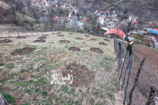 زمین داخل بافت ۳۵۰ متر ساری دودانگه روستای میانا-3