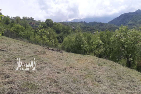 زمین داخل بافت ۳۵۰ متر ساری دودانگه روستای میانا-4