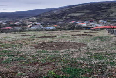زمین داخل بافت ۳۵۰ متر ساری دودانگه روستای میانا