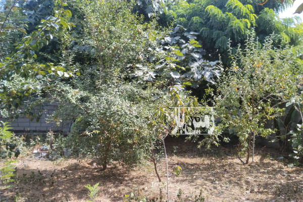 زمین مسکونی چاه آب و یک بنای ۱۵متری با مجوز ساخت روستای خمیر کنده-1