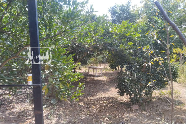 زمین مسکونی چاه آب و یک بنای ۱۵متری با مجوز ساخت روستای خمیر کنده-4