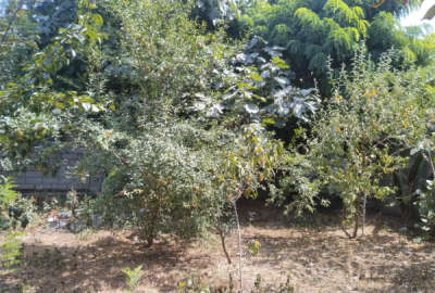 زمین مسکونی چاه آب و یک بنای ۱۵متری با مجوز ساخت روستای خمیر کنده