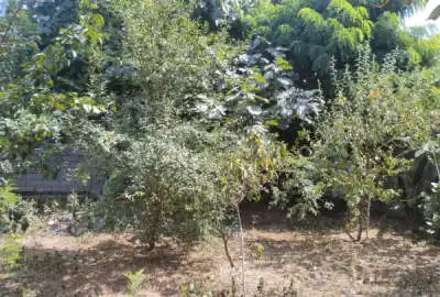 زمین مسکونی چاه آب و یک بنای ۱۵متری با مجوز ساخت روستای خمیر کنده