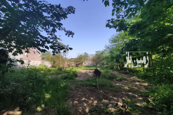 زمین قائمشهر ساروکلا کوهساران ۵۴۳ متر-3