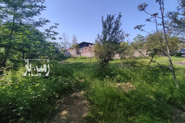 زمین قائمشهر ساروکلا کوهساران ۵۴۳ متر-4