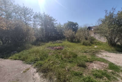 زمین قائمشهر ساروکلا کوهساران ۵۴۳ متر