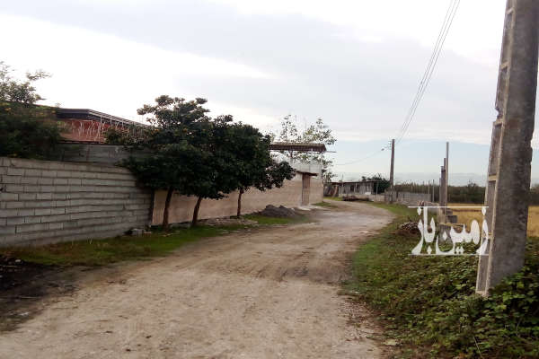 زمینی به مساحت ۱۲۰۰متر در قایم شهر جاده جویبار-3
