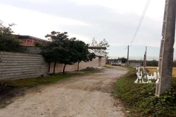زمینی به مساحت ۱۲۰۰متر در قایم شهر جاده جویبار - تصویر 3
