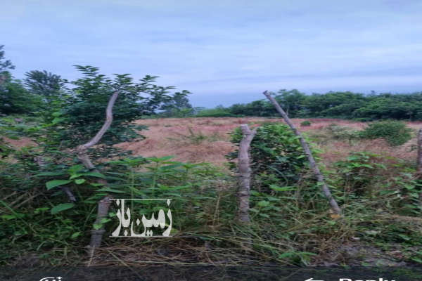 فروش زمین کشاورزی ۲۰۵ متری در گراکو-1