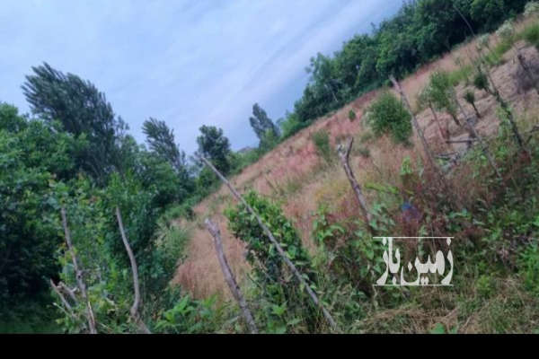 فروش زمین کشاورزی ۲۰۵ متری در گراکو-2