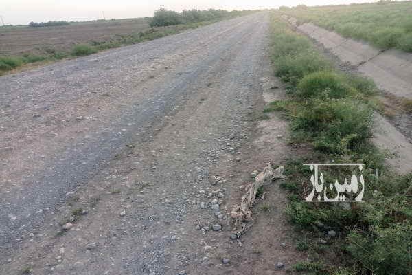 دو هکتار زمین روستای محمد آباد قابلیت اجرای مرغداری گلخانه گاو داری و غیره-2