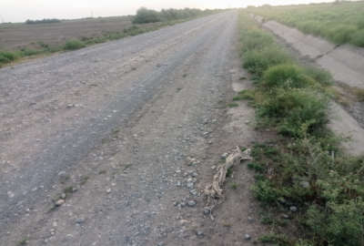 دو هکتار زمین روستای محمد آباد قابلیت اجرای مرغداری گلخانه گاو داری و غیره