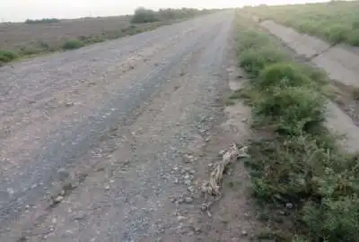 دو هکتار زمین روستای محمد آباد قابلیت اجرای مرغداری گلخانه گاو داری و غیره