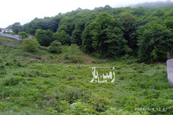 زمین سندار تک برگ چمستان روستای اناده ۱۸۴ متر-3