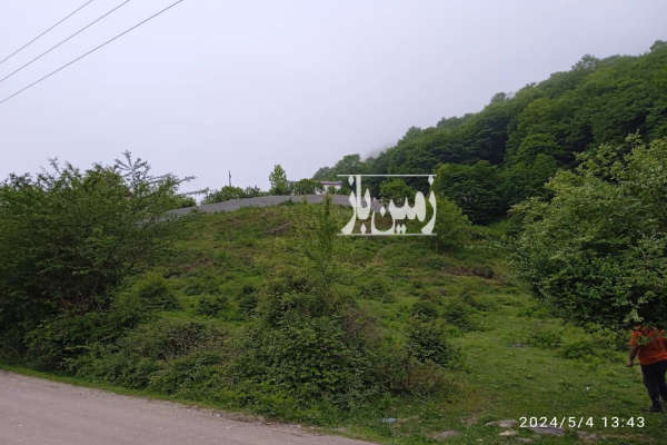 زمین سندار تک برگ چمستان روستای اناده ۱۸۴ متر-4