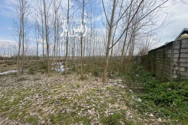 فروش زمین مسکونی واقع در روستای منگوده ۱۰۰۰ متر - تصویر 1