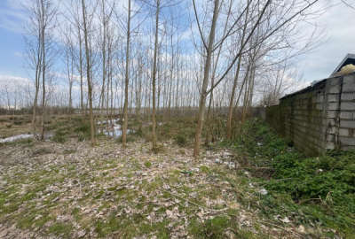 فروش زمین مسکونی واقع در روستای منگوده ۱۰۰۰ متر