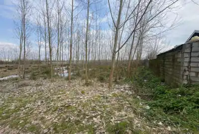 فروش زمین مسکونی واقع در روستای منگوده ۱۰۰۰ متر