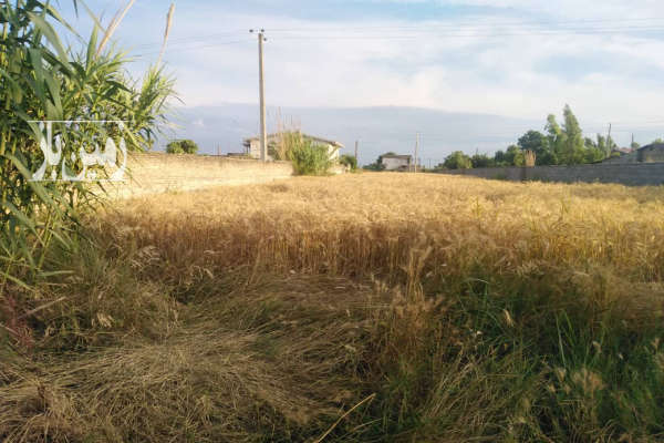 زمین مسکونی ۱۰۰۰متری زاغمرز زینوند-1