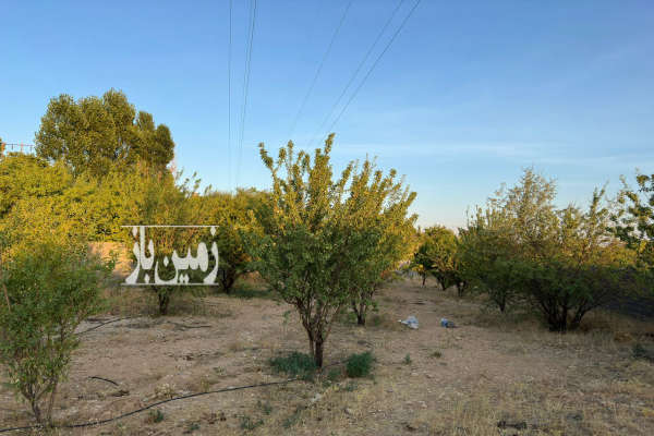 باغ ثمره دیوار کامل بلوک سیمان ۱۰۰۰ متر در حسین اباد شیراز-1