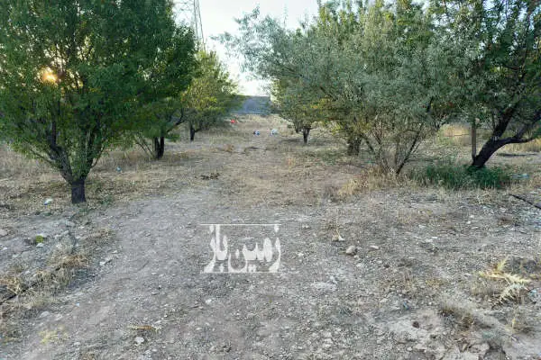 باغ ثمره دیوار کامل بلوک سیمان ۱۰۰۰ متر در حسین اباد شیراز - تصویر 3