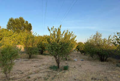 باغ ثمره دیوار کامل بلوک سیمان ۱۰۰۰ متر در حسین اباد شیراز
