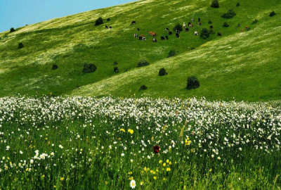 زمین فروشی با مجوز ساخت و مدارک کامل جهت ساخت ویلا و باغ