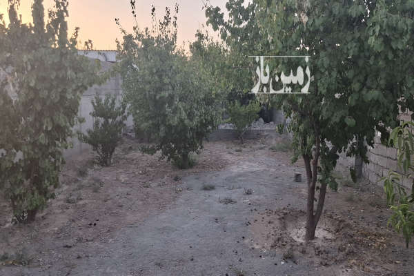 زمن باغی دارای درخت نزدیک به شهر فردوسیه ۲۲۷ متر-2