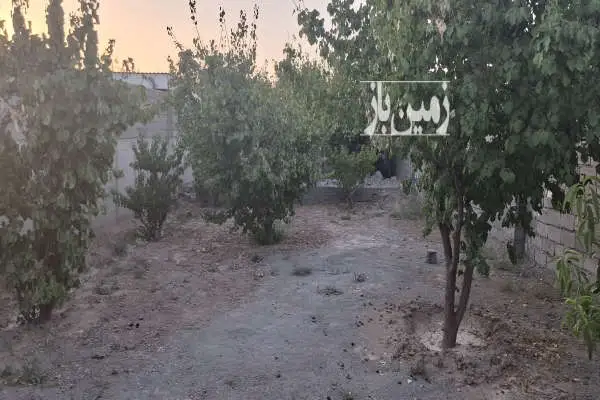 زمن باغی دارای درخت نزدیک به شهر فردوسیه ۲۲۷ متر - تصویر 2
