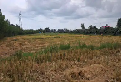 زمین کشاورزی لیسار خیابان جانبازان سیدلر محله ۷۸۰۰ متر