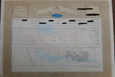 زمین فروشی دهنو شاندیز تک برگ سند باغی زراعی ۲۶۲ متر