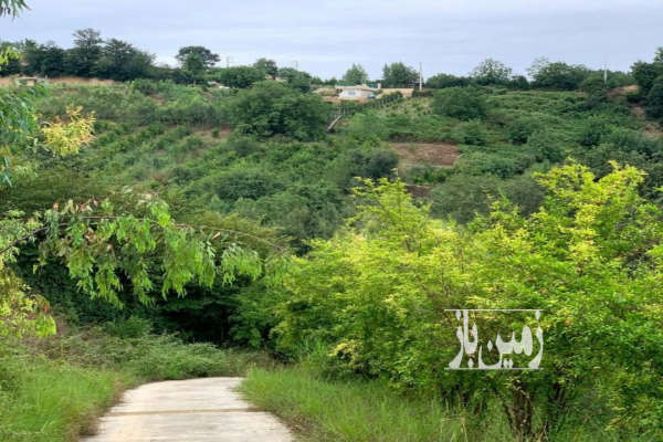 زمین مسکونی ۴۲۴ متر روستای برنجستانک سوادکوه شمالی-4