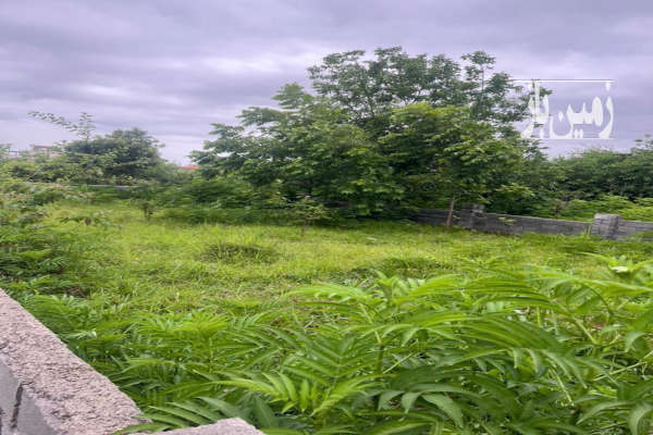 زمین مسکونی ۲۳۷ متر دارای سند تک برگ و جواز ساخت در نوشهر-1