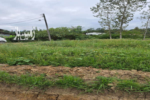 فروش زمین در تنکابن جاده دوهزار با امکانات و لوکیشن عالی-1