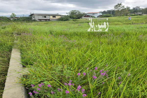 فروش زمین در تنکابن جاده دوهزار با امکانات و لوکیشن عالی-2