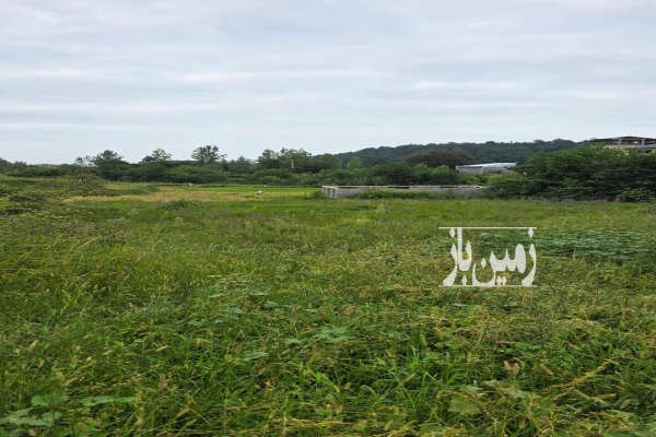 فروش زمین در تنکابن جاده دوهزار با امکانات و لوکیشن عالی-3