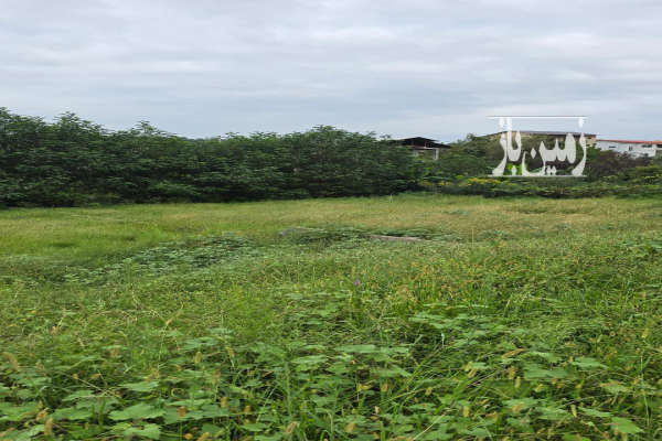 فروش زمین در تنکابن جاده دوهزار با امکانات و لوکیشن عالی-4