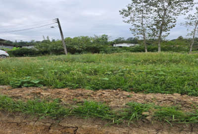 فروش زمین در تنکابن جاده دوهزار با امکانات و لوکیشن عالی