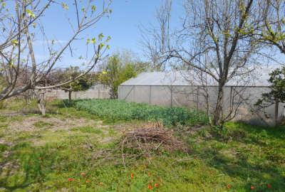 زمین مسکونی به متراژ ۷۴۰ متر مربع با تمام امتیازات