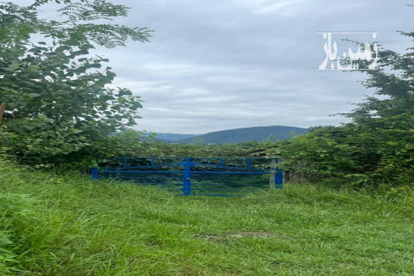 فروش ۳۸۰۰ متر زمین کوهپایه ای واقع در تنکابن-1