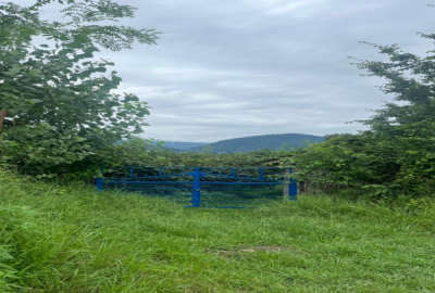 فروش ۳۸۰۰ متر زمین کوهپایه ای واقع در تنکابن