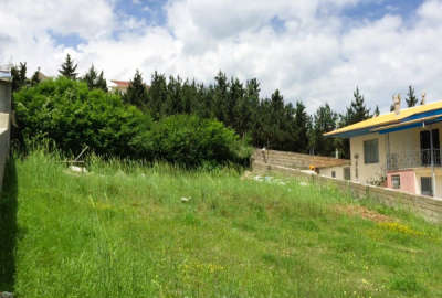 زمین ۵۸۶ متری کلاردشت گویتر سند تک برگ