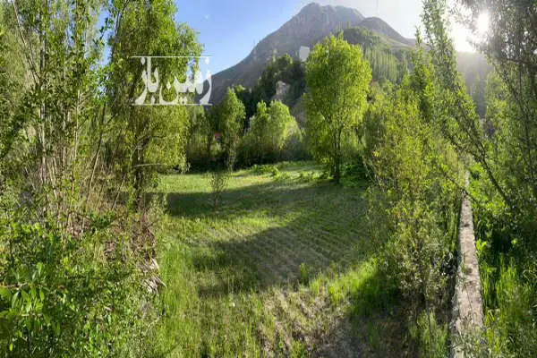 زمین باغ با ویو عالی و دسترسی عالی از تهران و کرج در جاده چالوس - تصویر 2
